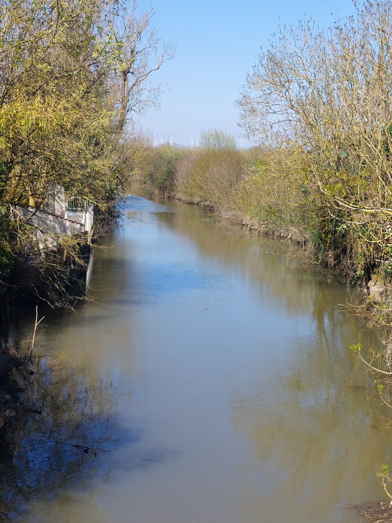 Travaux d’élagage et de désencombrement de voies d’eau